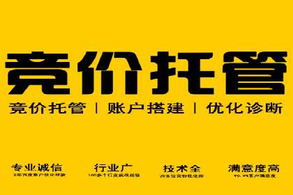 搜索引擎营销（SEM）在B2B企业中的应用案例